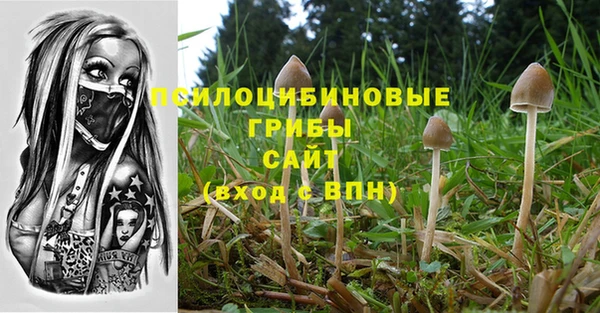 кокаин Медвежьегорск