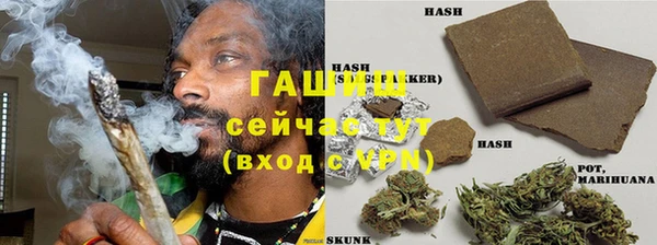 твердый Михайлов